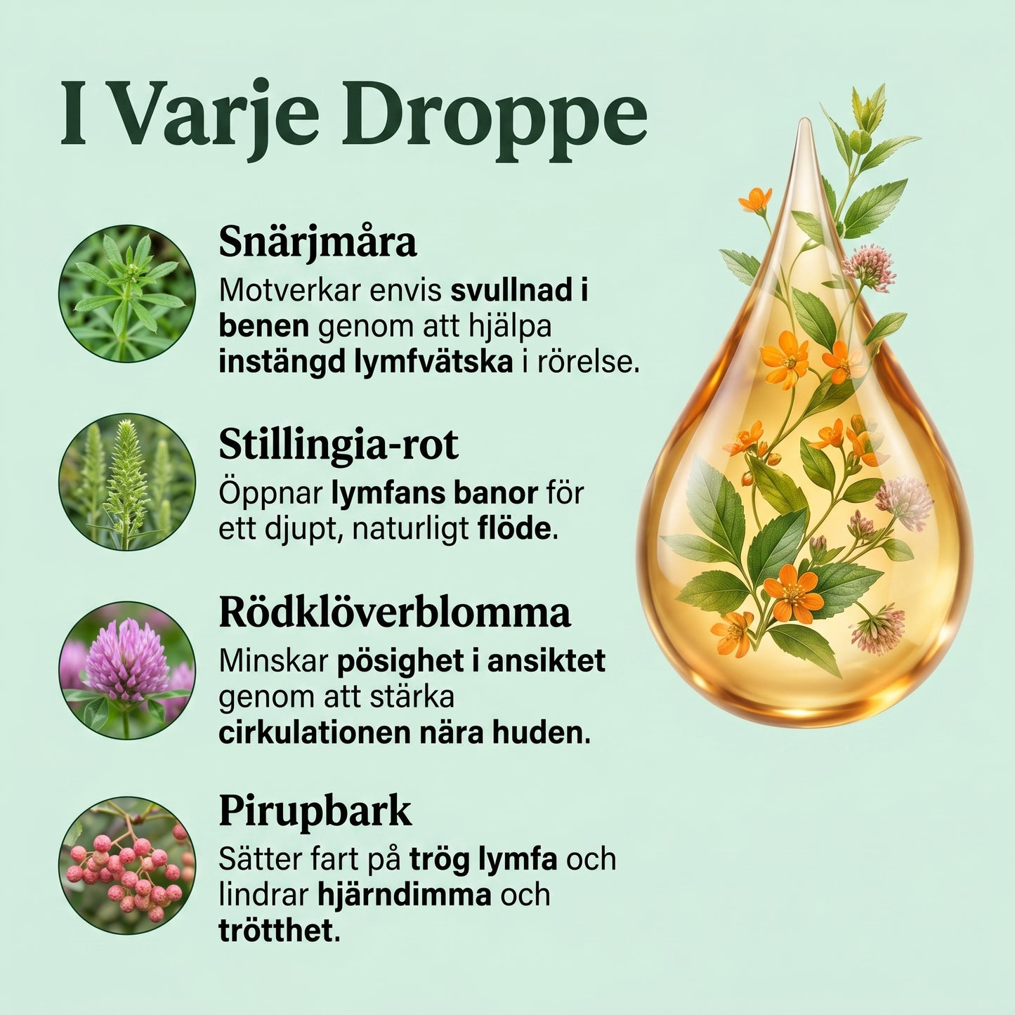 Velonia® Lymfdroppar för Lymfdränage